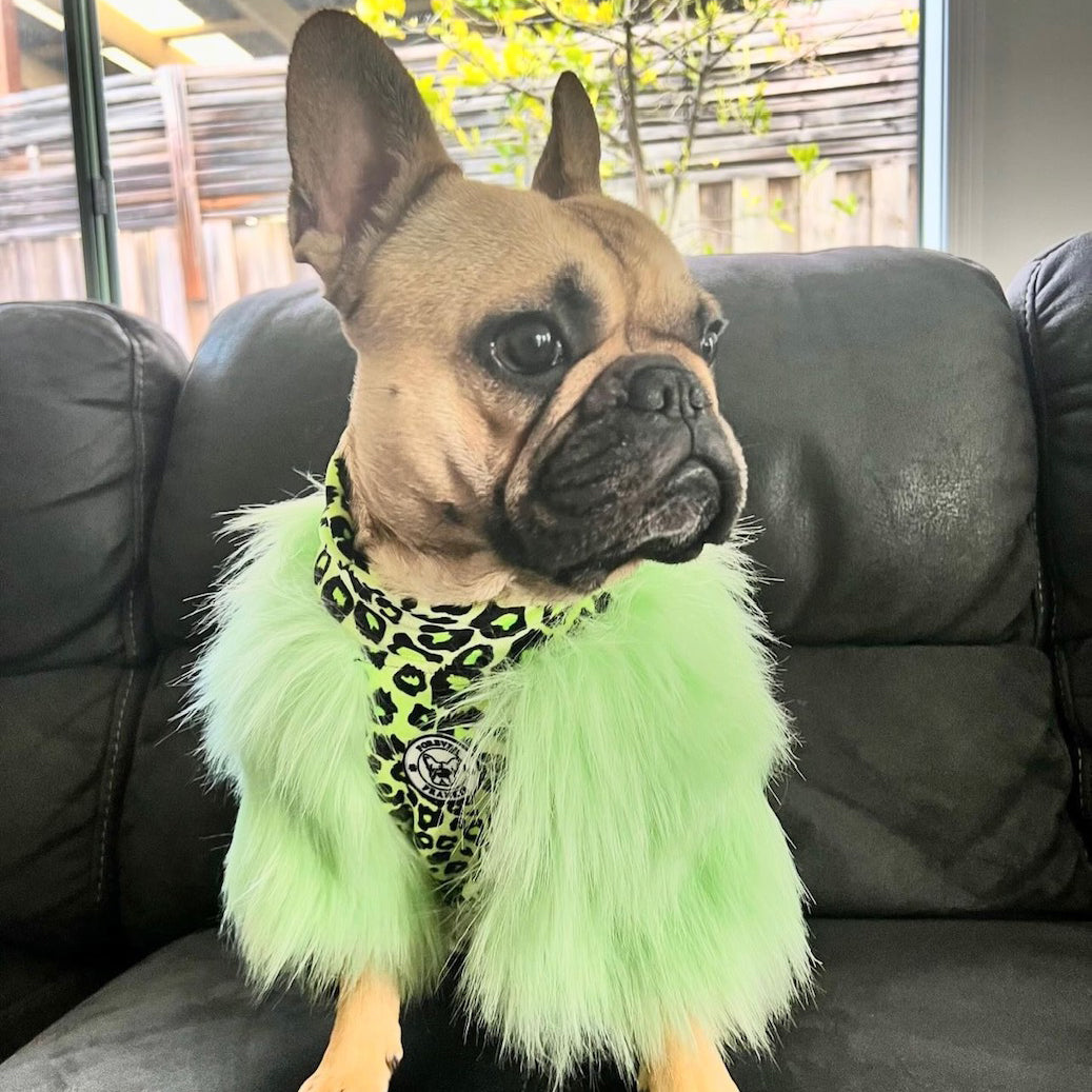 LUXE Green Leopard Dog Skivvie