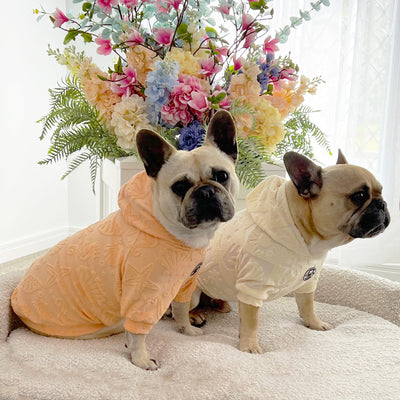 Coral Sands After Bath/Beach - Terry Towelling Dog Hoodie