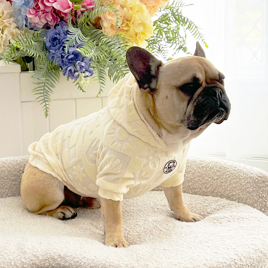 Pina Paw-lada After Bath/ Beach - Terry Towelling Dog Hoodie