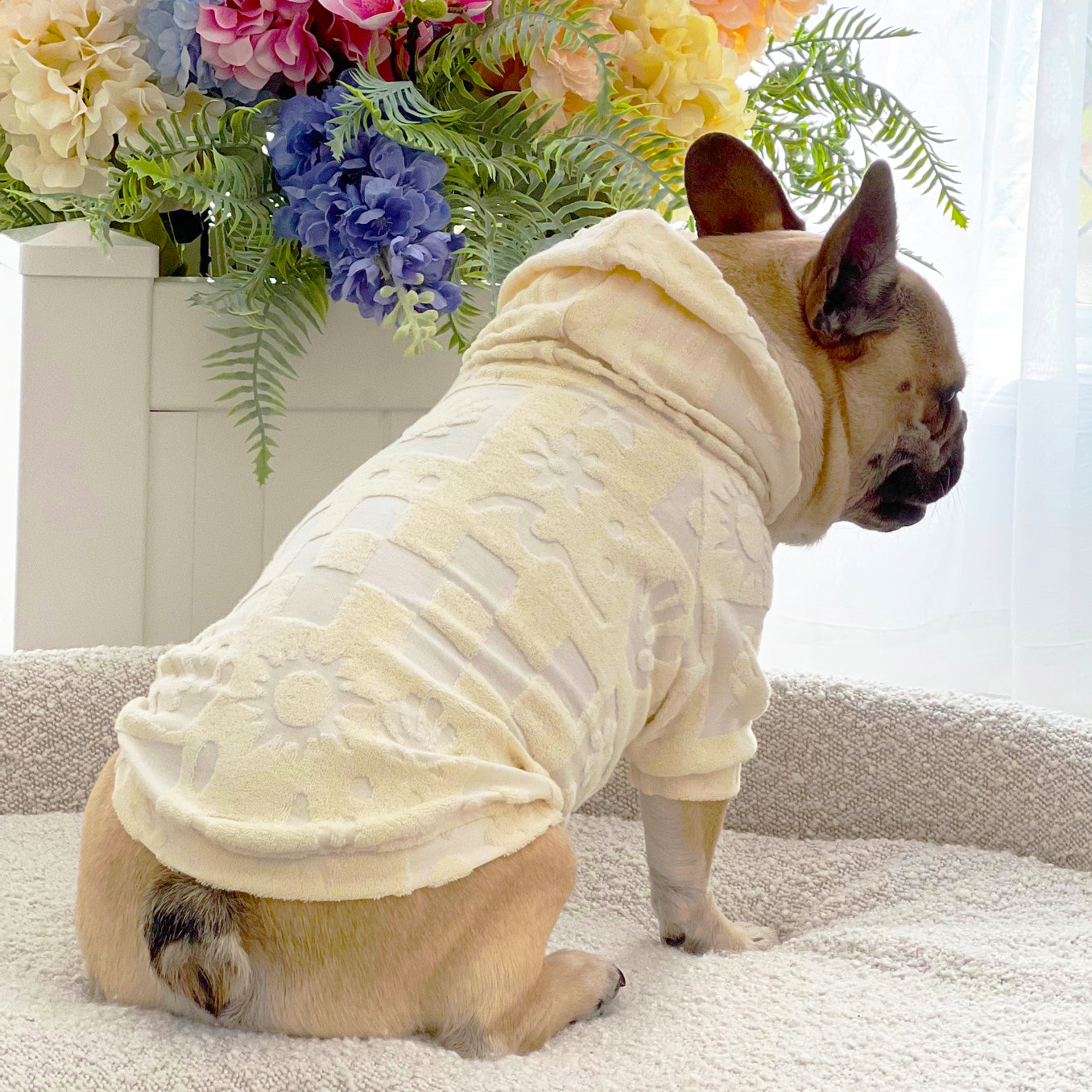 Pina Paw-lada After Bath/ Beach - Terry Towelling Dog Hoodie