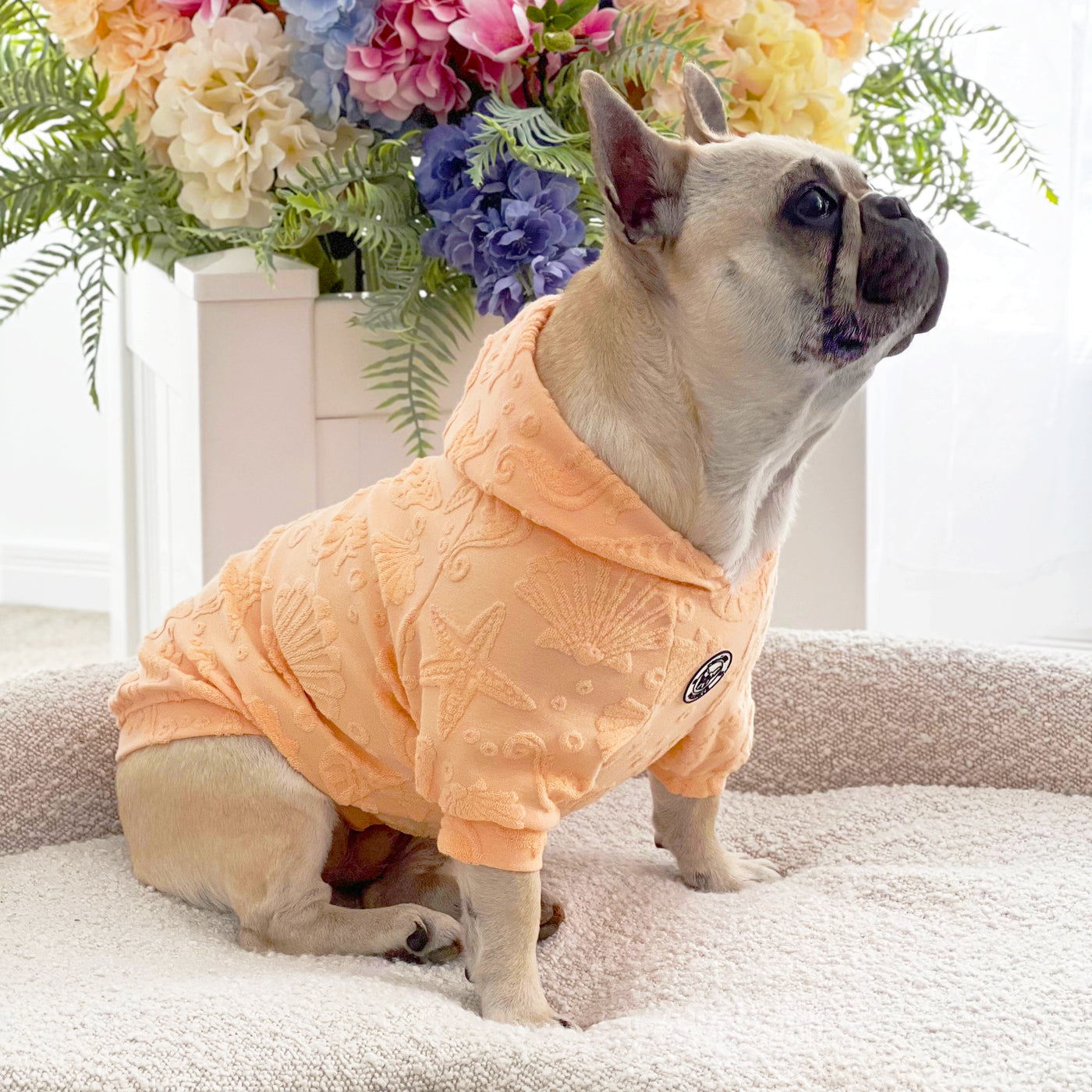 Coral Sands After Bath/Beach - Terry Towelling Dog Hoodie