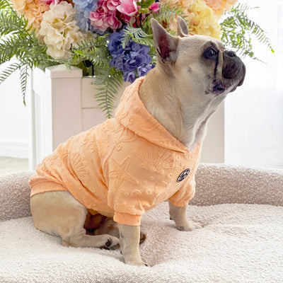 Coral Sands After Bath/Beach - Terry Towelling Dog Hoodie