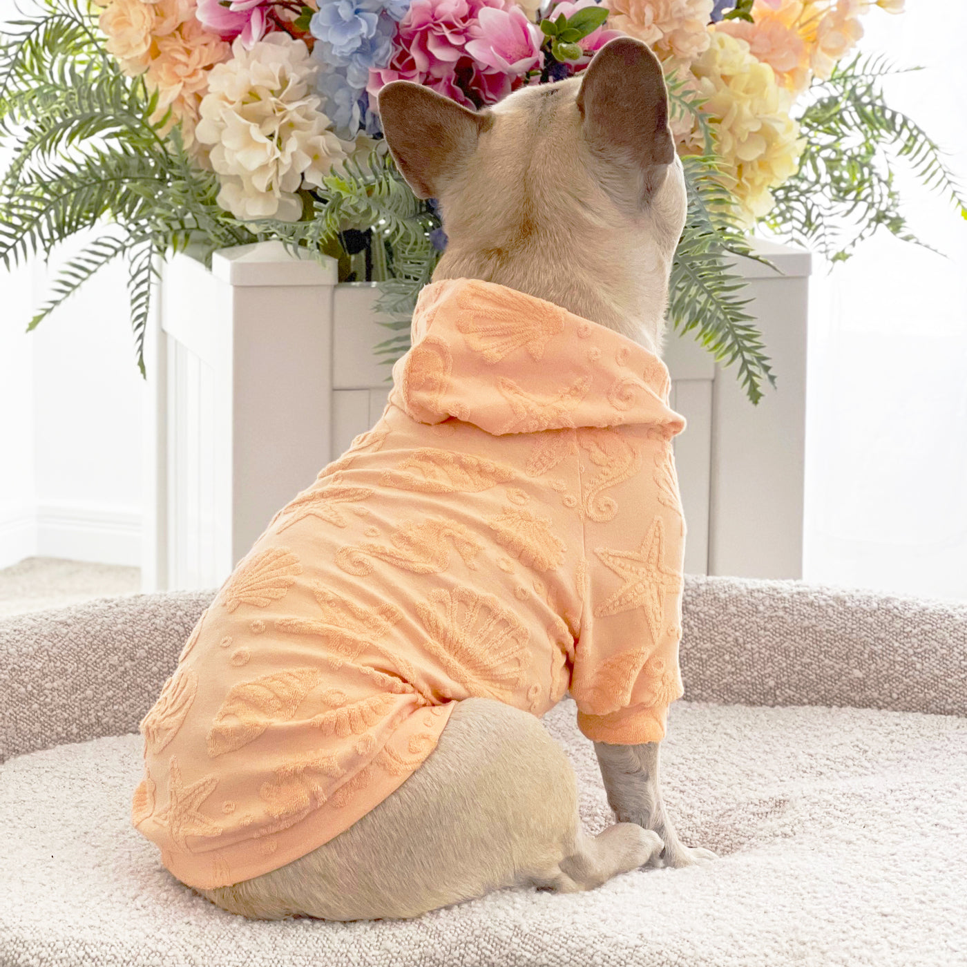 Coral Sands After Bath/Beach - Terry Towelling Dog Hoodie