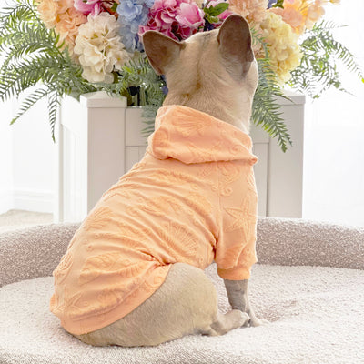 Coral Sands After Bath/Beach - Terry Towelling Dog Hoodie