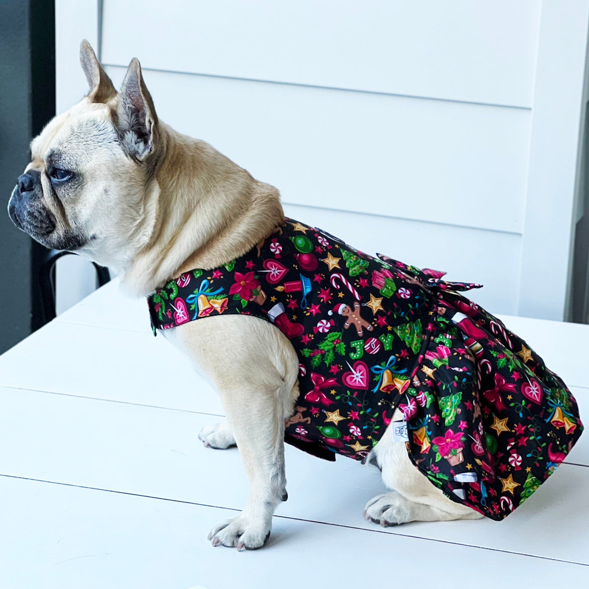 Christmas Celebration Dog Dress with bow (Limited Edition)