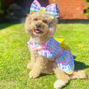 Buttercup Meadow Gingham - Ruffle Dog Dress (Limited Edition)