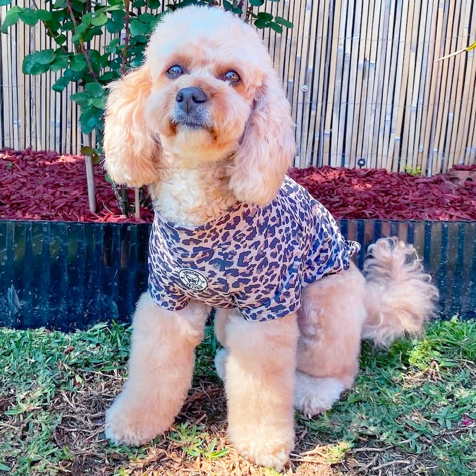 Born to be Wild - Sun & Sand Rashie UV 50+