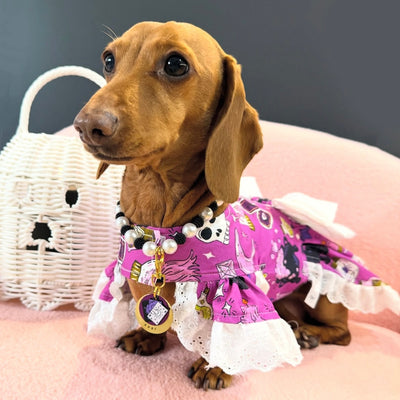 Bubble & Trouble - Halloween Dog Dress  (Limited Edition)