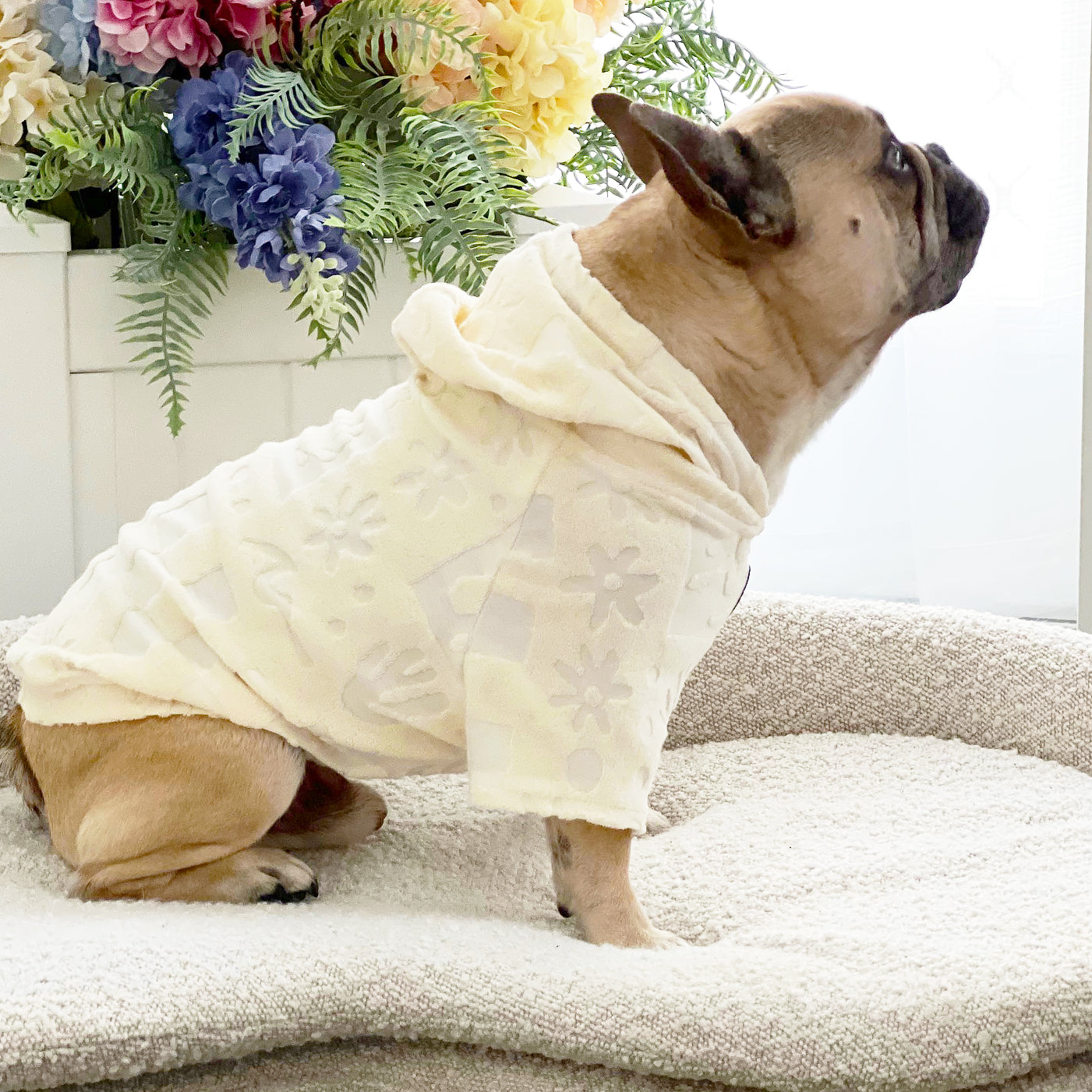 Pina Paw-lada After Bath/ Beach - Terry Towelling Dog Hoodie