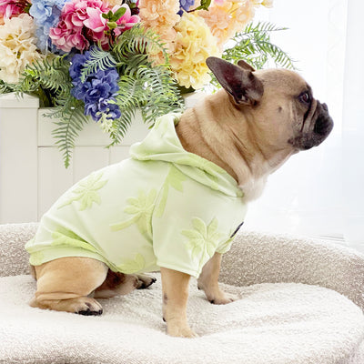 Minty Palm Delight After Bath/Beach - Terry Towelling Dog Hoodie