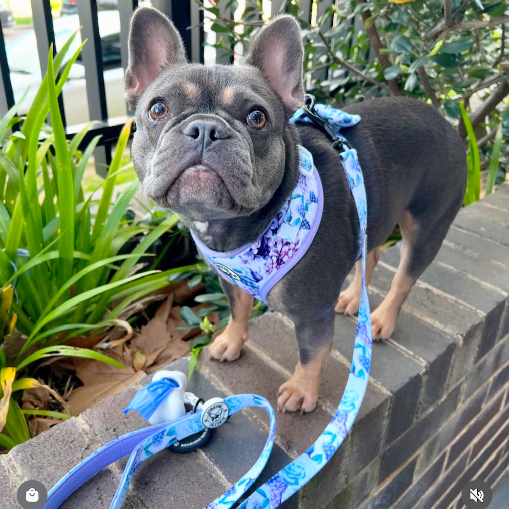 Purple Floral -Adjustable Harness