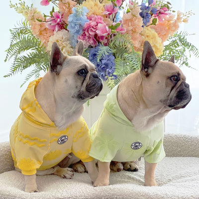 Minty Palm Delight After Bath/Beach - Terry Towelling Dog Hoodie