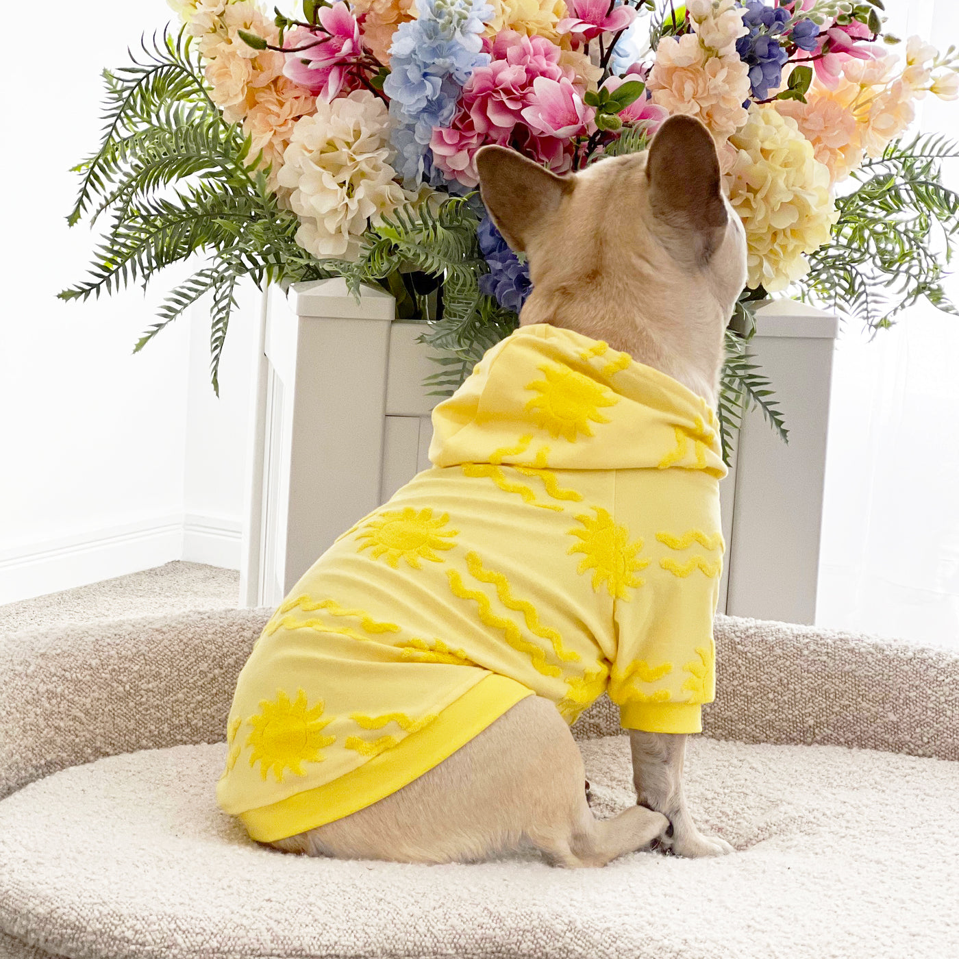 Sun Snuggler After Bath/Beach - Terry Towelling Dog Hoodie
