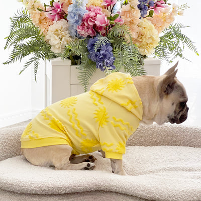 Sun Snuggler After Bath/Beach - Terry Towelling Dog Hoodie