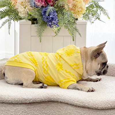Sun Snuggler After Bath/Beach - Terry Towelling Dog Hoodie