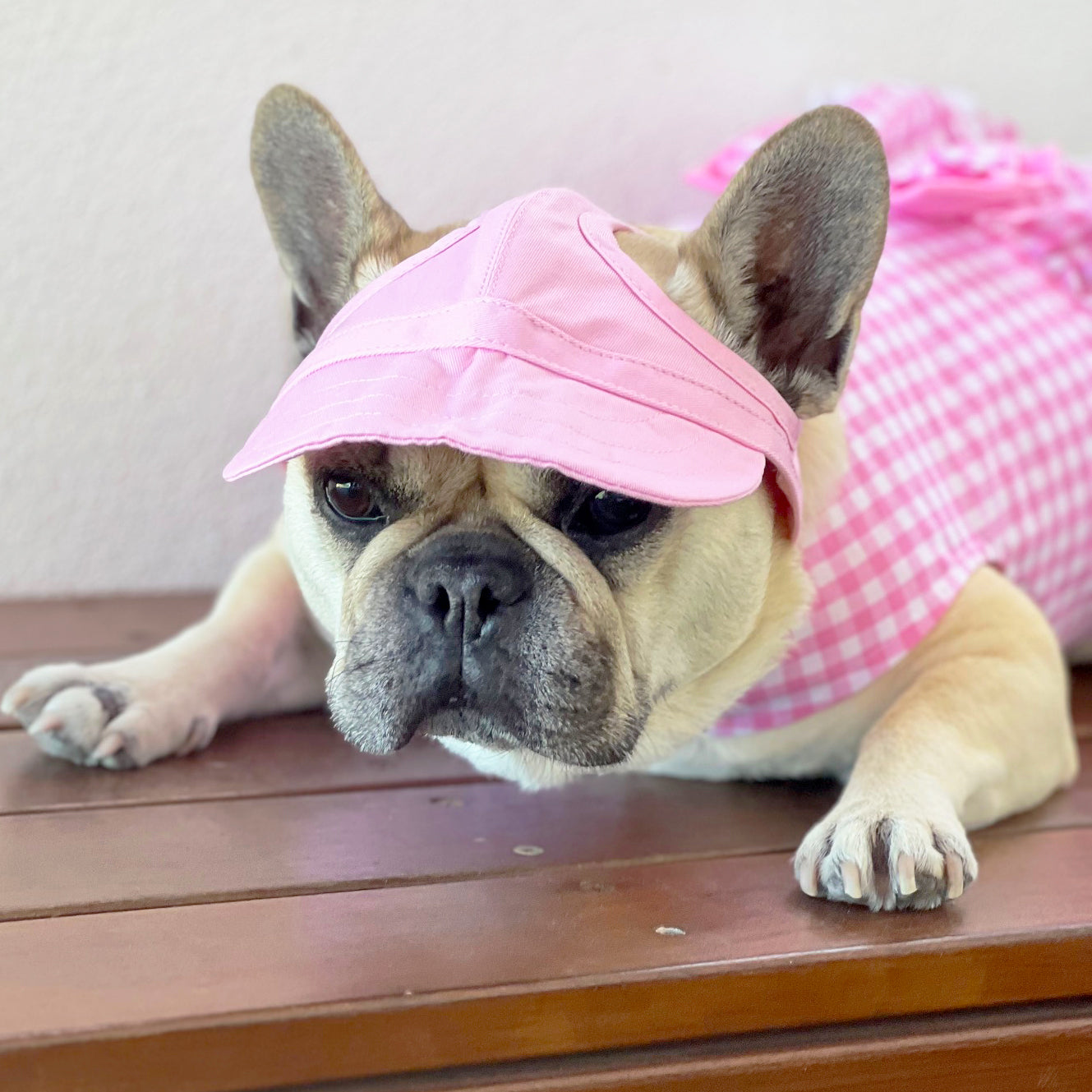 Dog Cap - Pink