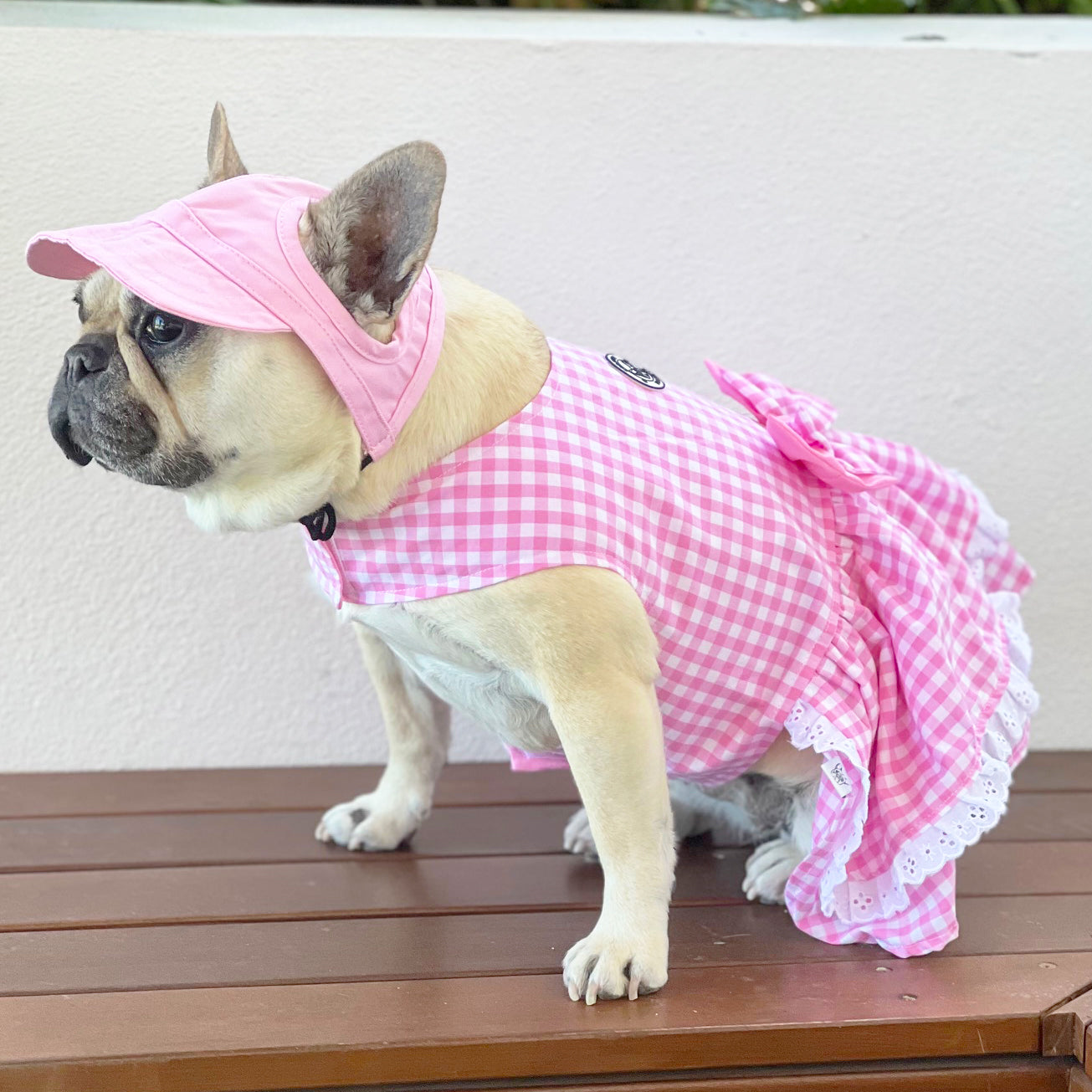 Dog Cap - Pink