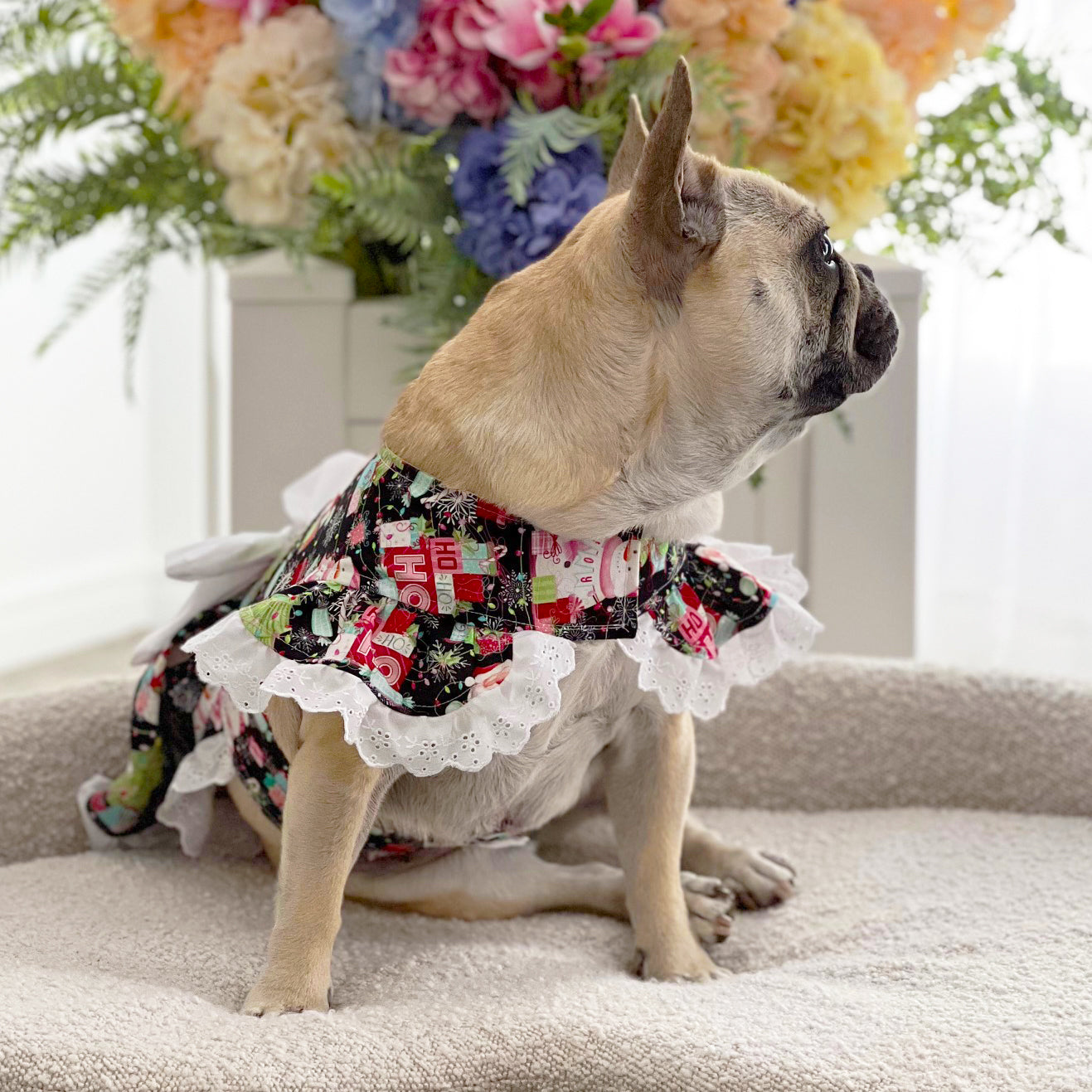 Jingle Belle - Christmas Dog Dress (Limited Edition)