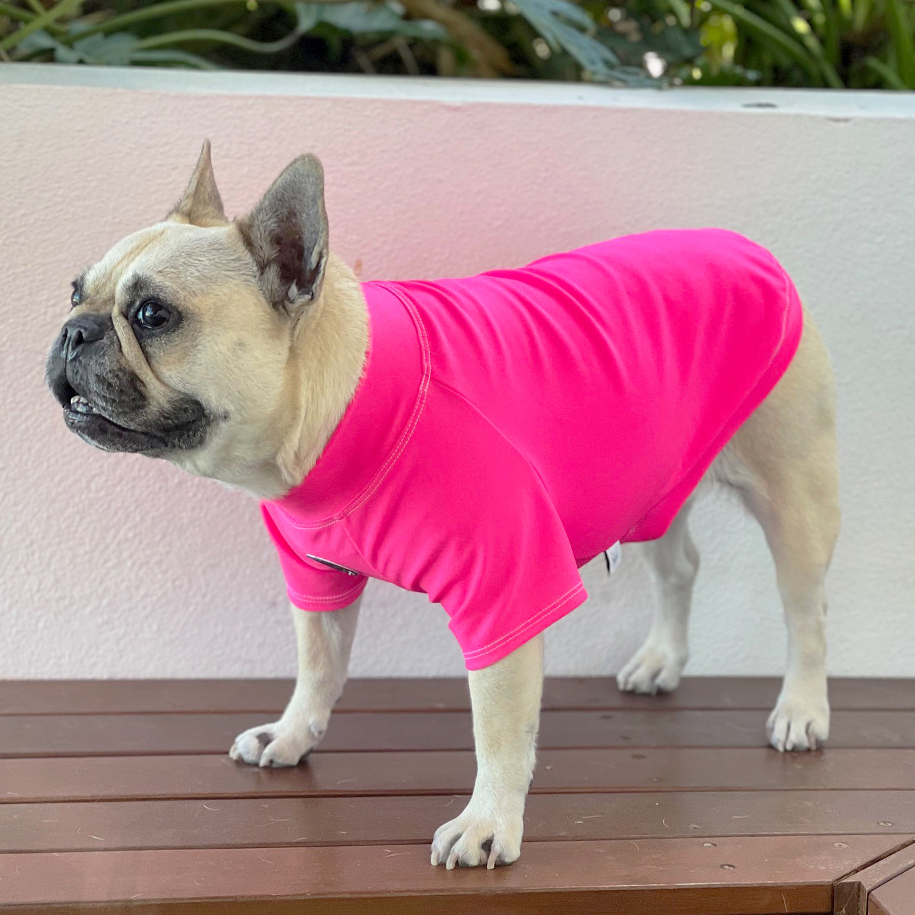 Fluoro Pink - Sun & Sand Rashie UV 50+