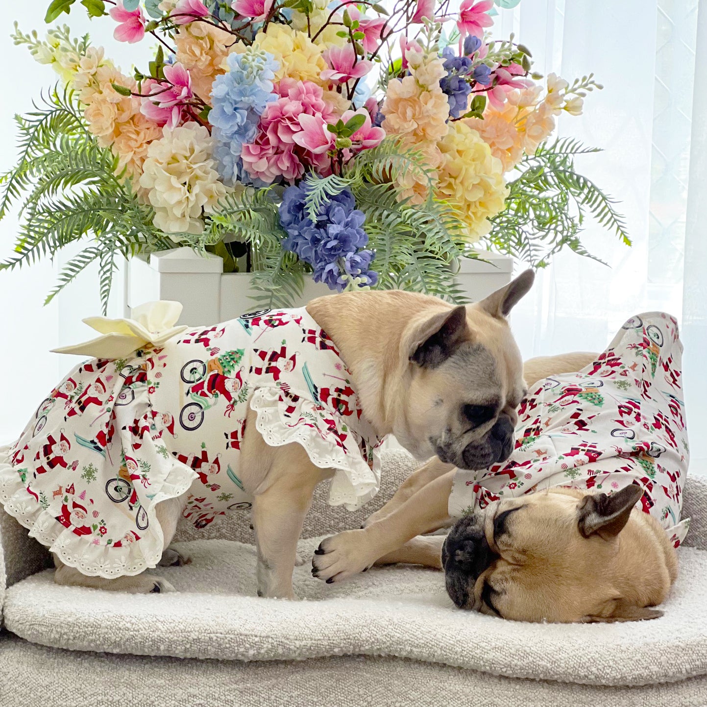 Santa’s Sweetheart - Christmas Dog Dress (Limited Edition)