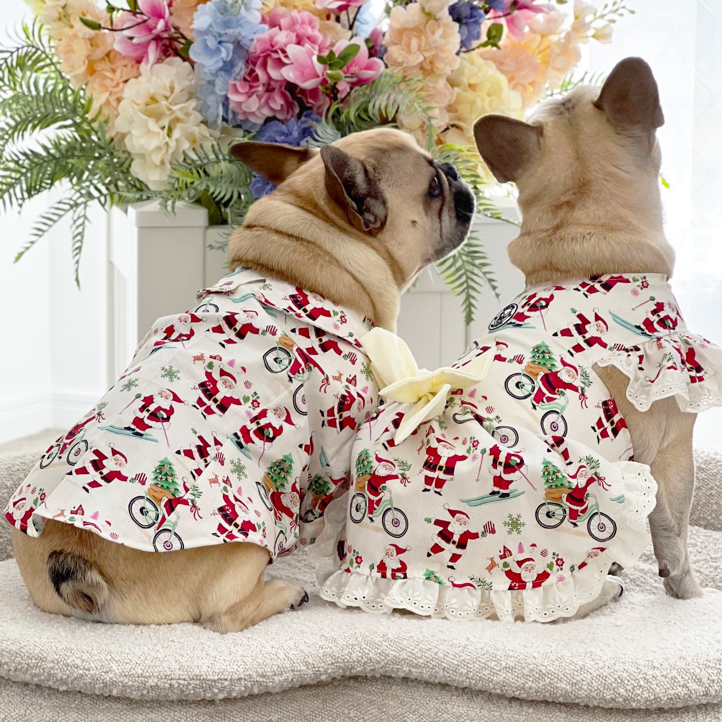 Santa’s Sweetheart - Christmas Dog Dress (Limited Edition)