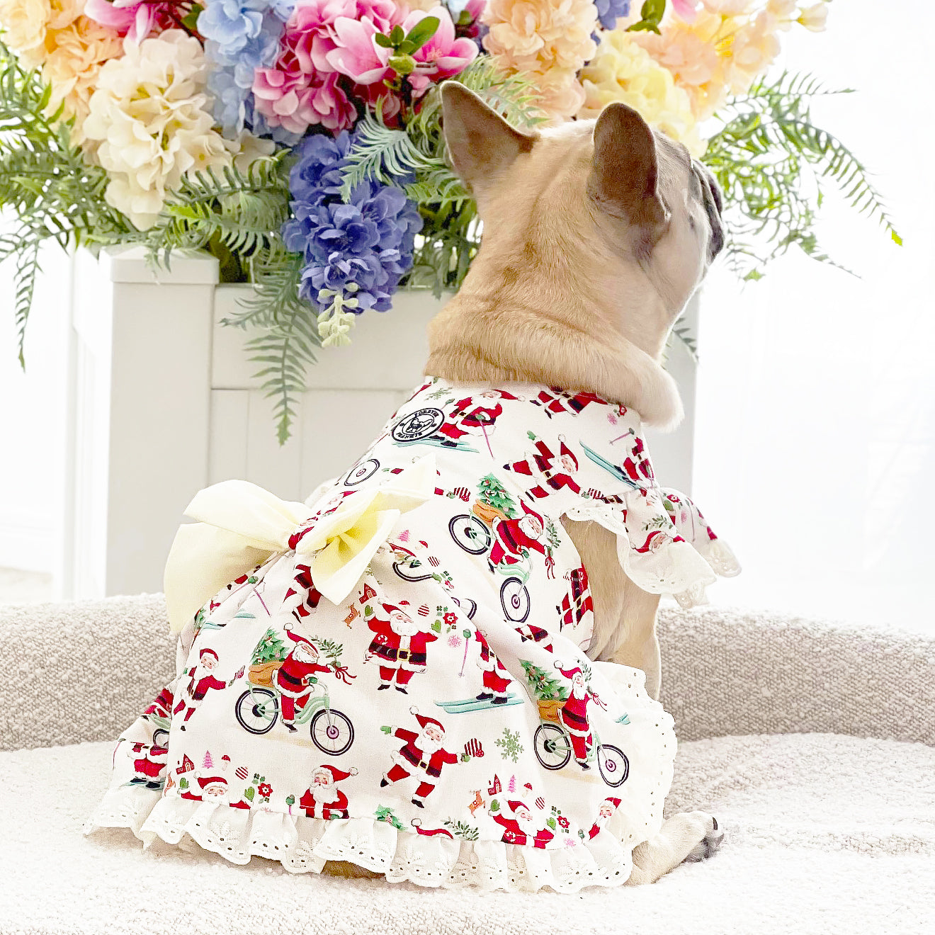 Santa’s Sweetheart - Christmas Dog Dress (Limited Edition)