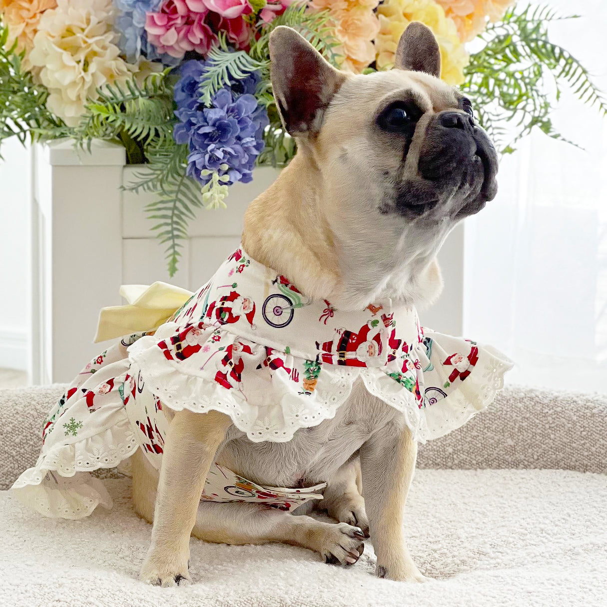 Santa’s Sweetheart - Christmas Dog Dress (Limited Edition)