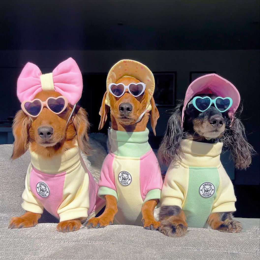 Petal Haze Dog Skivvy