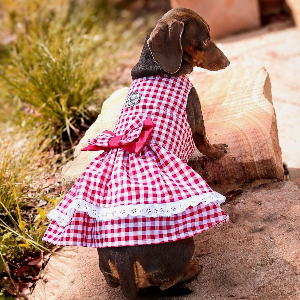 Lipstick Red Gingham Ruffles Dog Dress with bow-SMALL