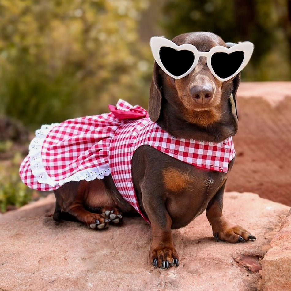 Lipstick Red Gingham Ruffles Dog Dress with bow Limited Edition