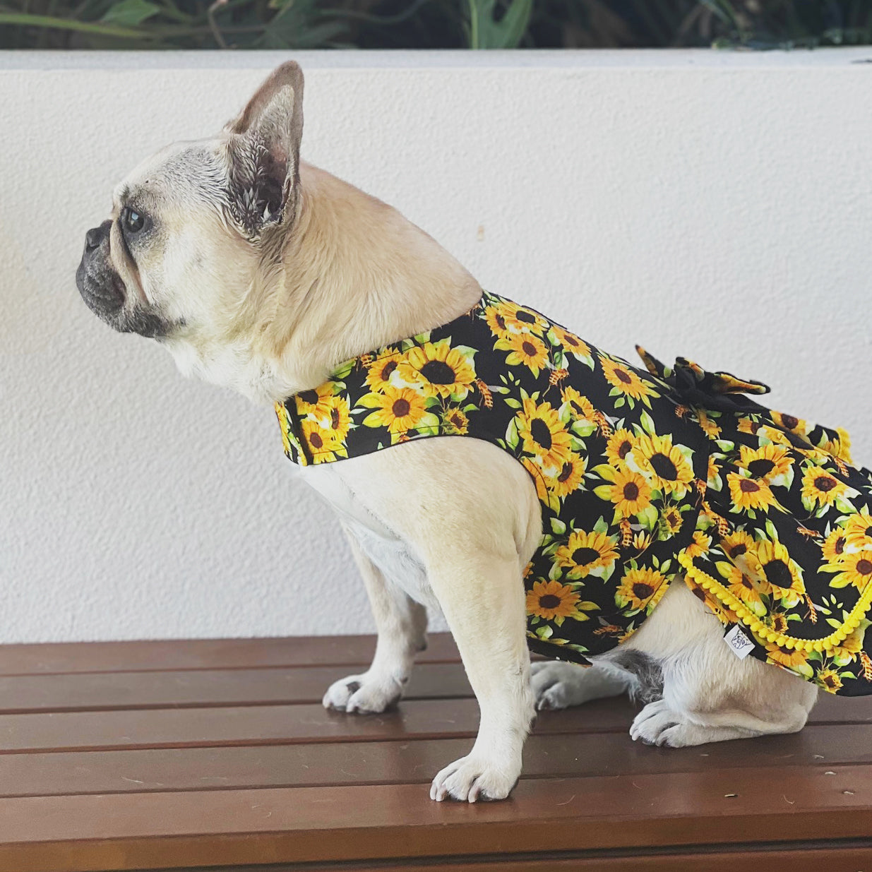 Sunflower Kisses Ruffles Dog Dress with bow -End of line!