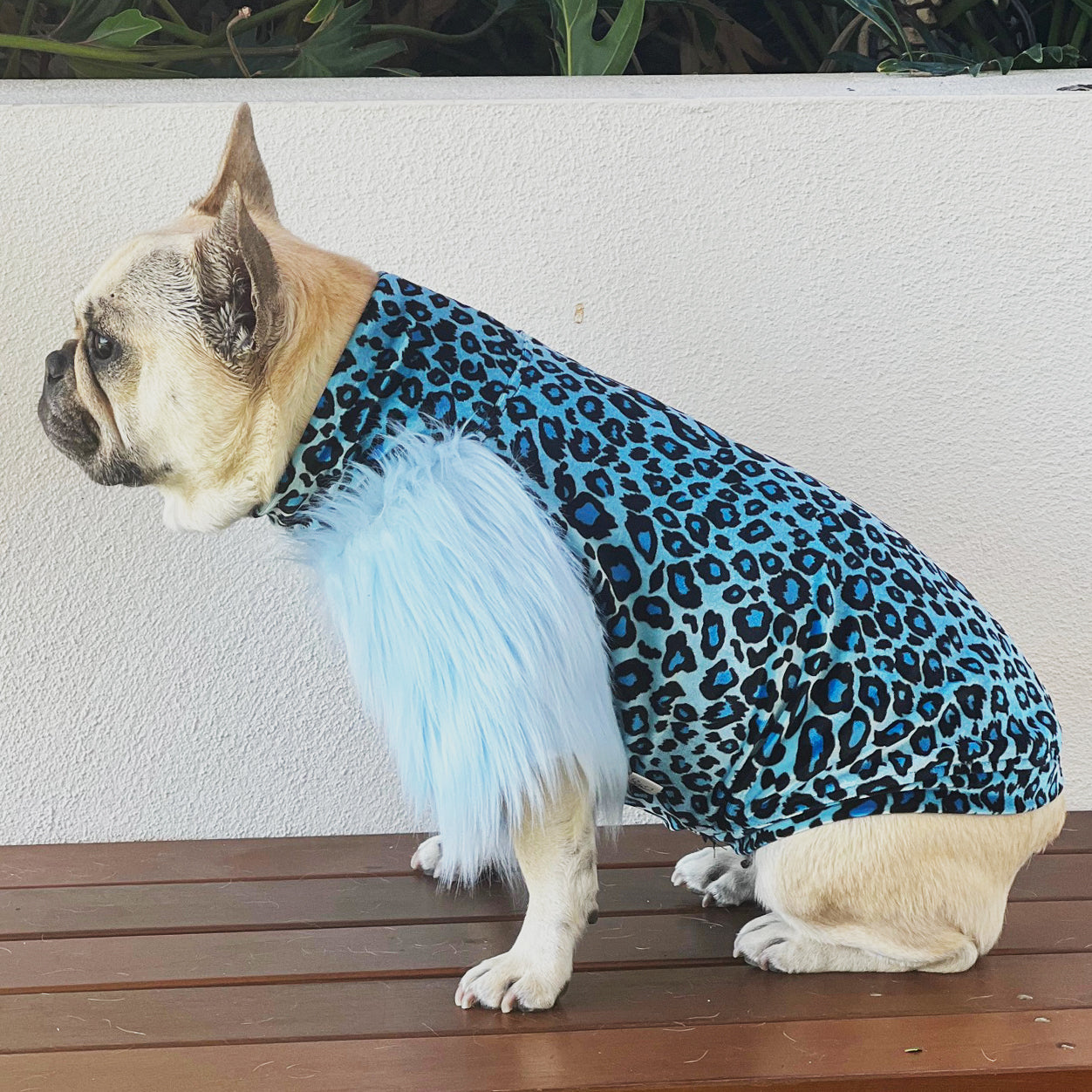 LUXE Blue Leopard Dog Skivvie