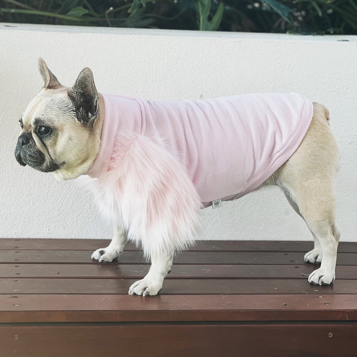 LUXE Soft Shell Pink Dog Skivvie