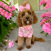 Bubblegum Lace - Luxe Dog Skivvy