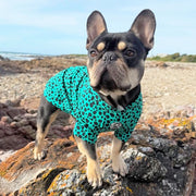 Emerald Splash Leopard - Sun & Sand Rashie UV 50+