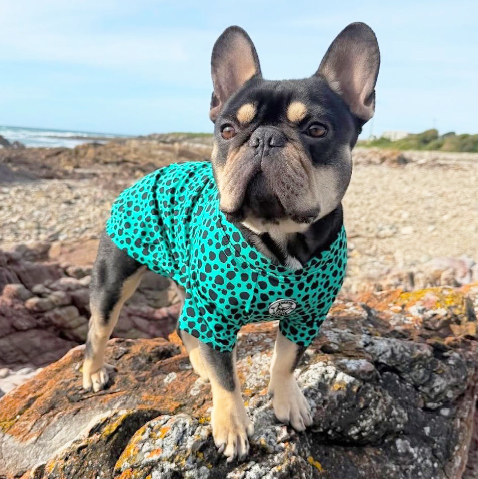 Emerald Splash Leopard - Sun & Sand Rashie UV 50+