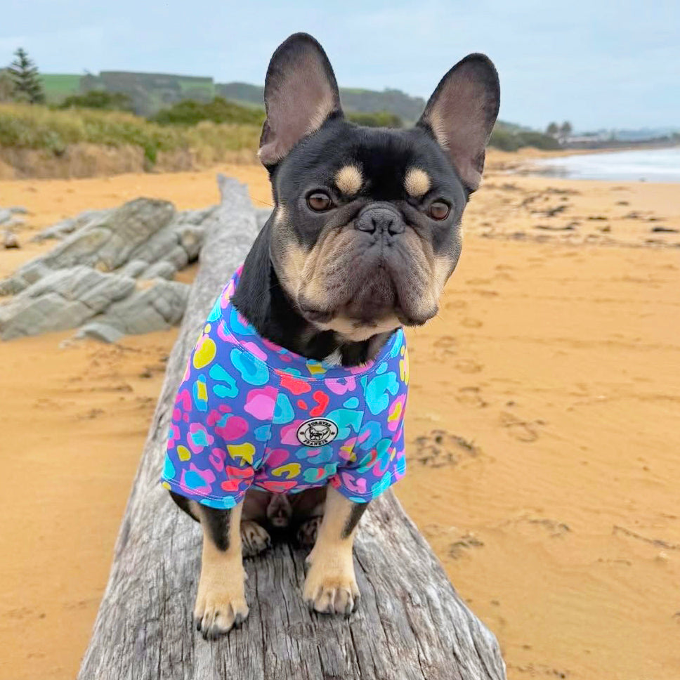 Blue Cheetah Party - Sun & Sand Rashie UV 50+