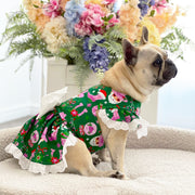 YeeHaw - Christmas Dog Dress (Limited Edition)
