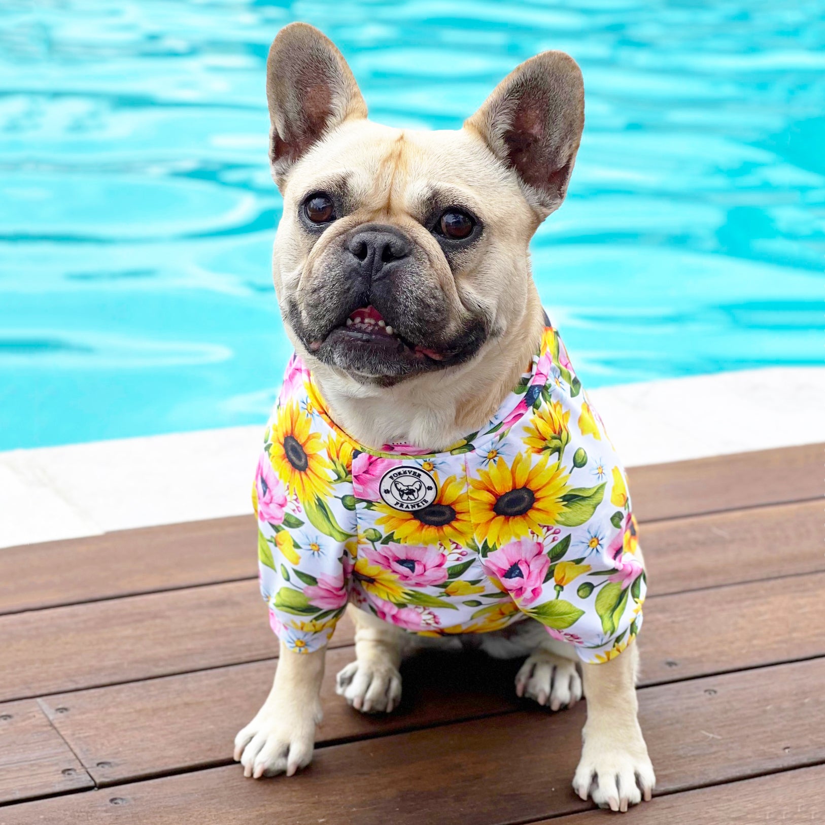 Heavenly Sunflower - Sun & Sand Rashie UV 50+ -  END OF LINE