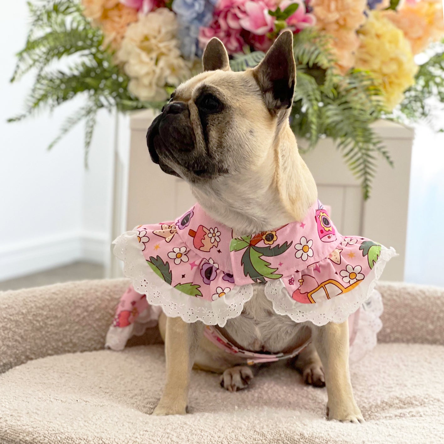 Summer vibes' - Dog Dress (Limited Edition)