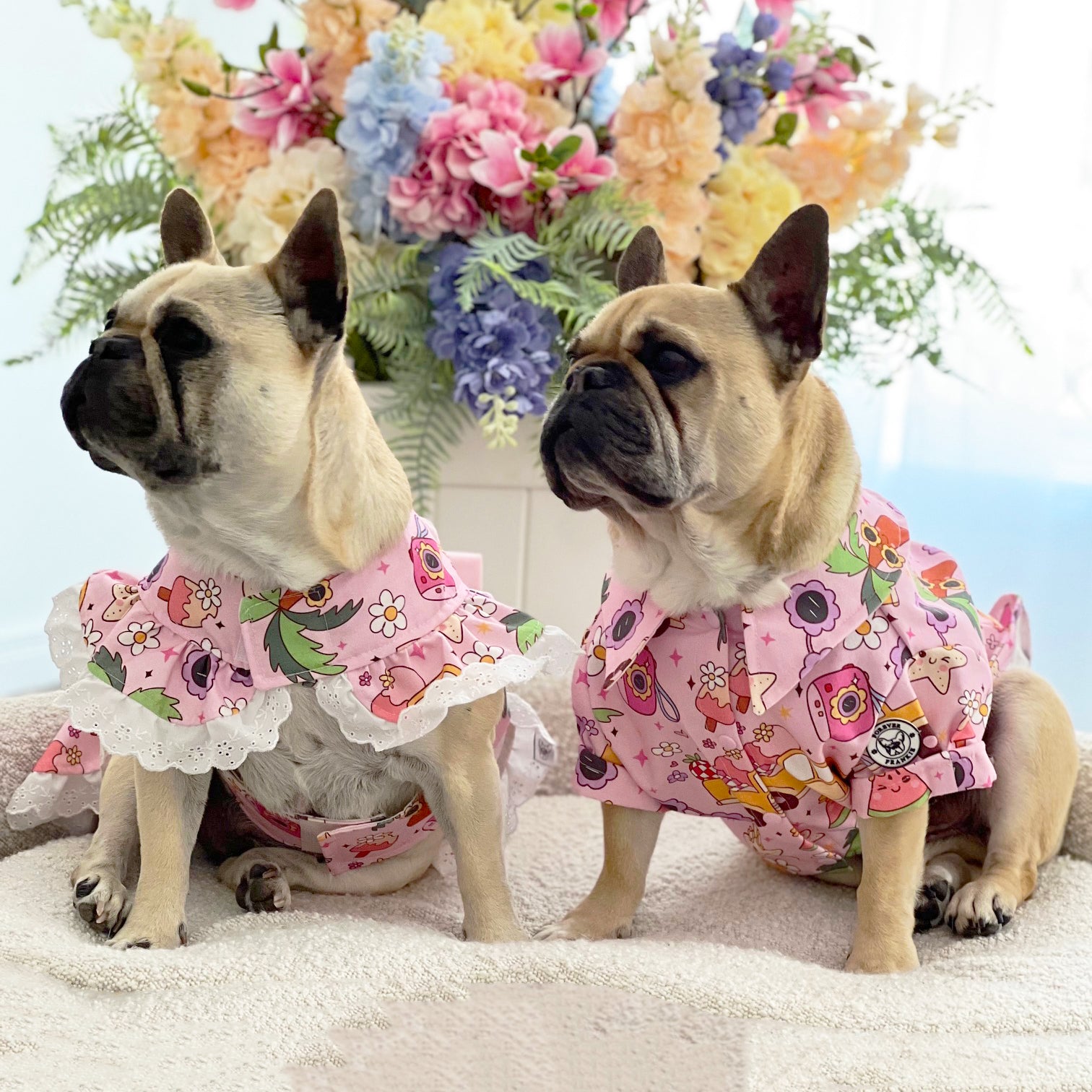 Summer vibes' - Dog Dress (Limited Edition)