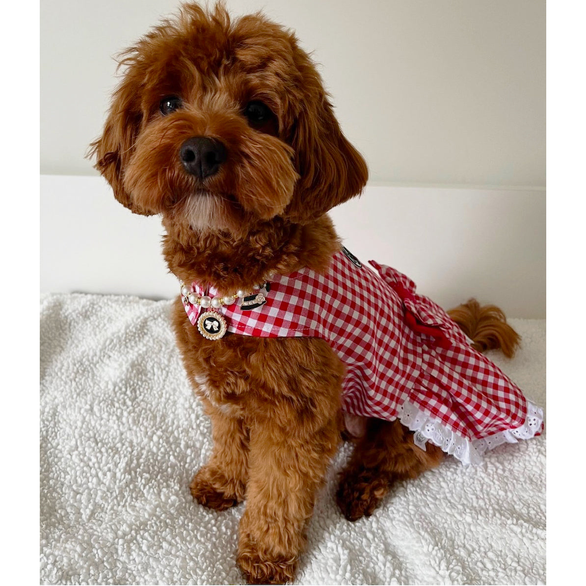 Lipstick Red Gingham Ruffles Dog Dress with bow-SMALL