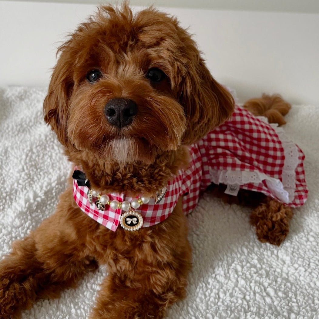 Lipstick Red Gingham Ruffles Dog Dress with bow-SMALL