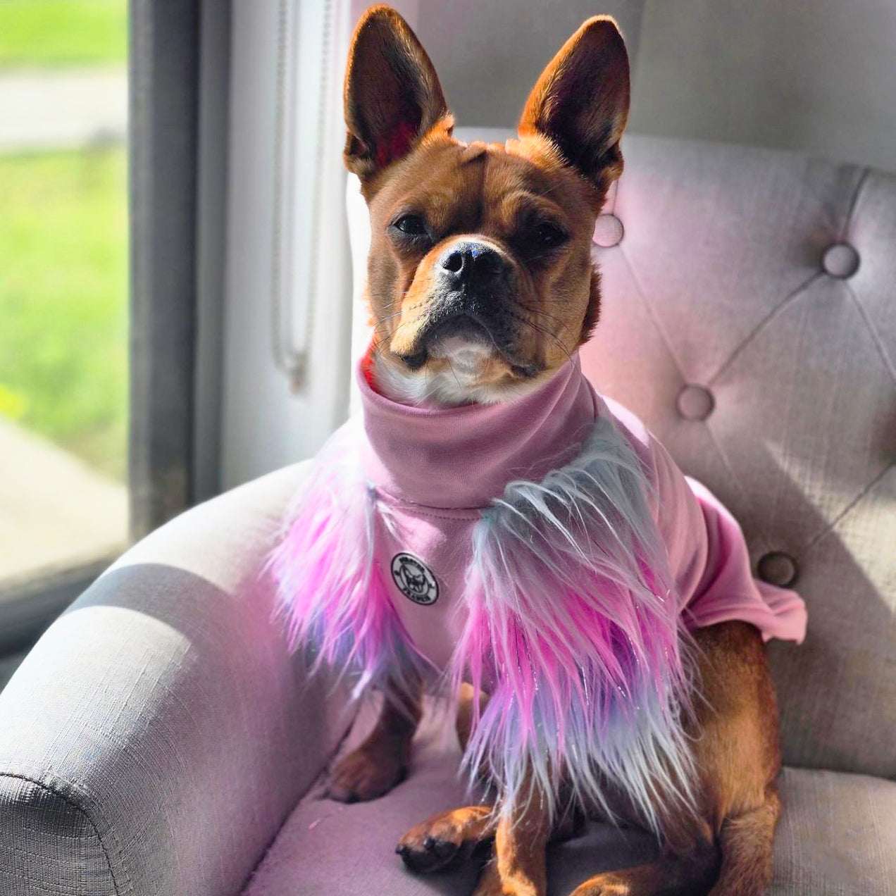 LUXE - Unicorn Rainbow- Dog Skivvie (Limited Edition)