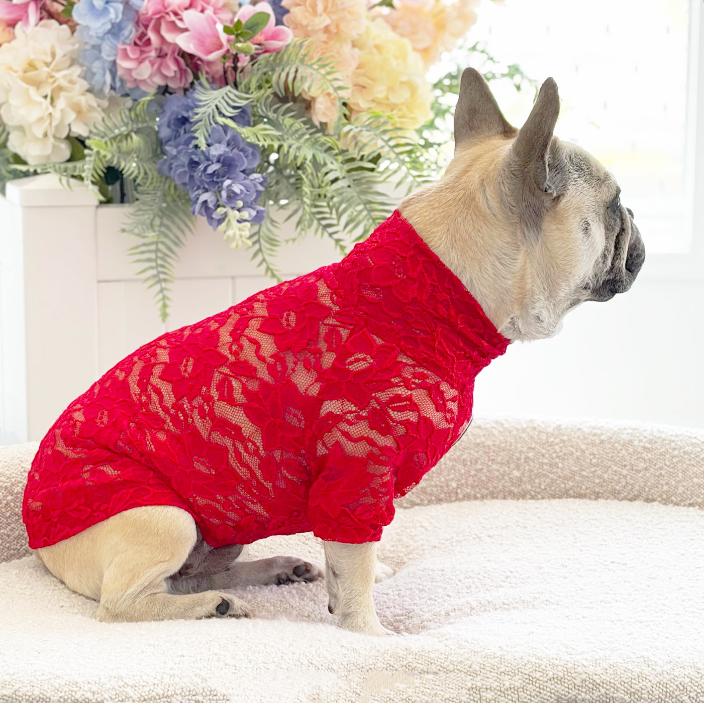 Pomegranate Lace - Luxe Dog Skivvy