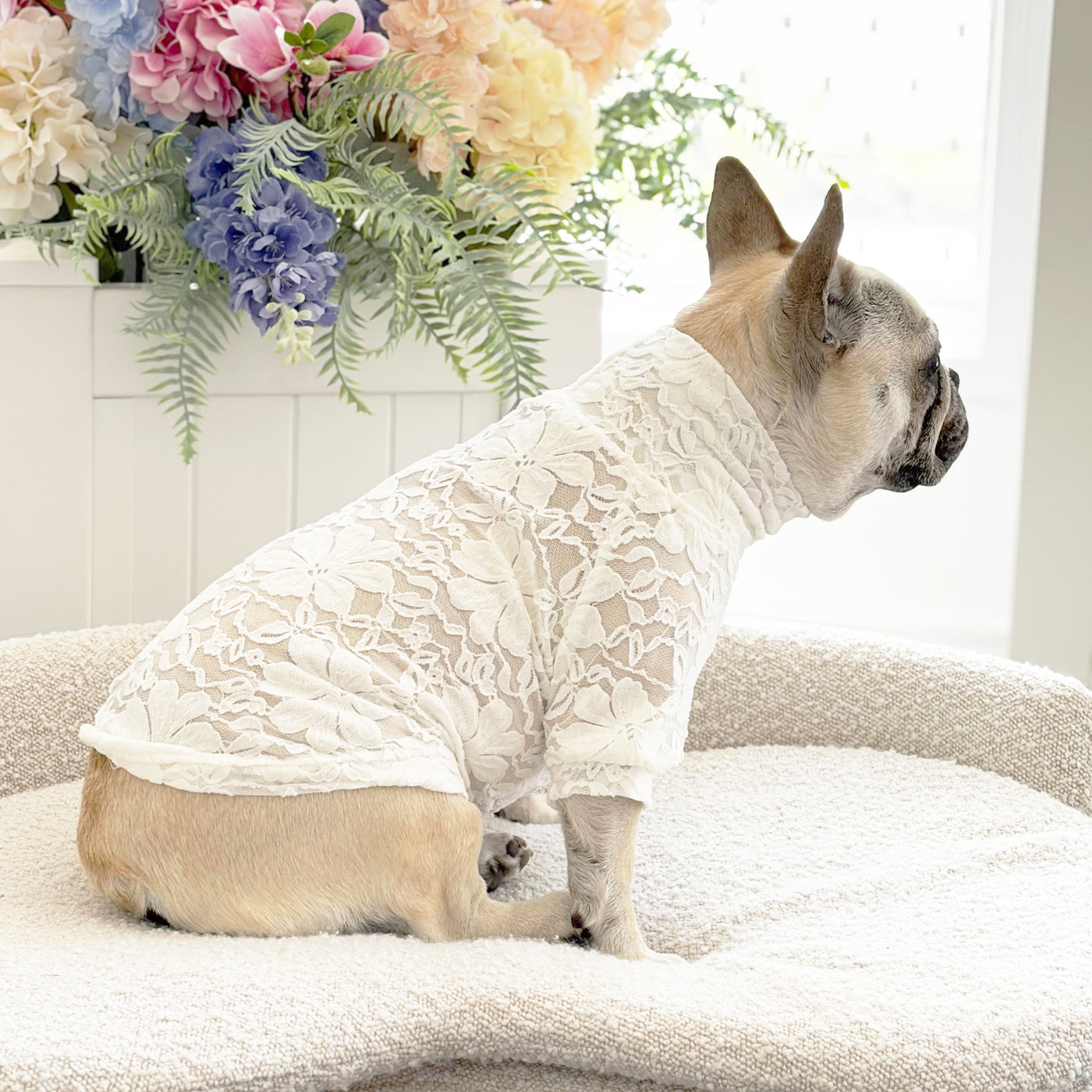 White Lace - Luxe Dog Skivvy