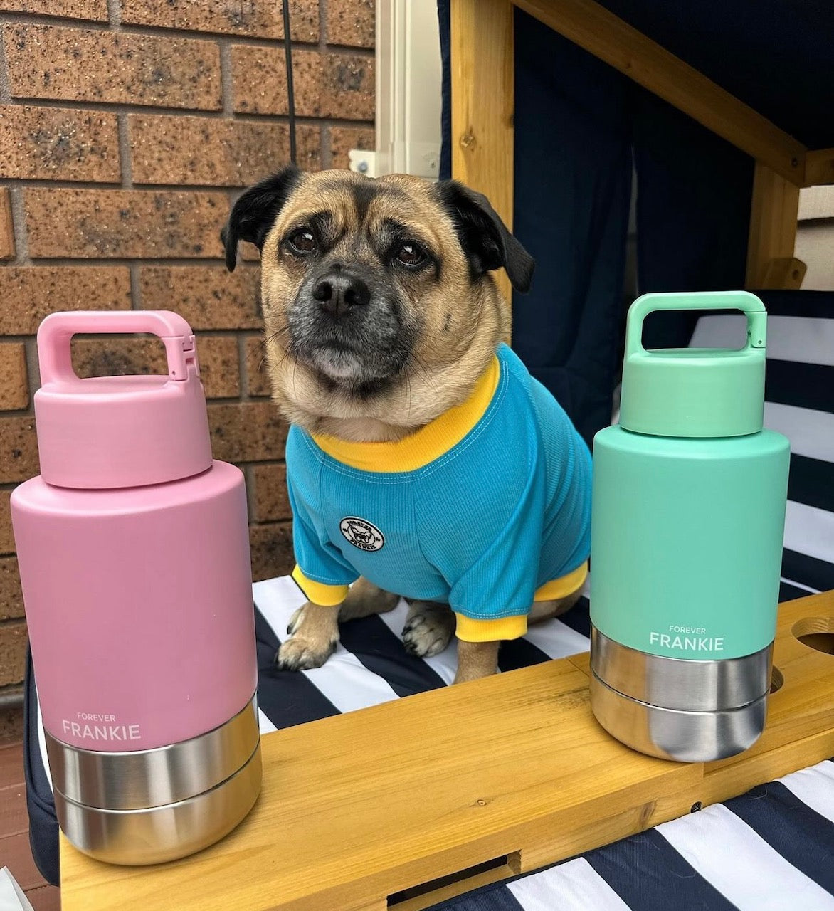 Pink Portable Human / Dog Stainless Steel Adventure Drink Bottles