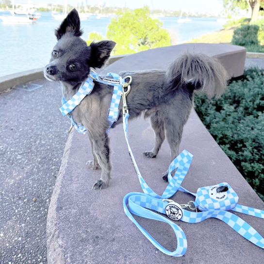 Sky Blue Check - Luxe Strap Harness