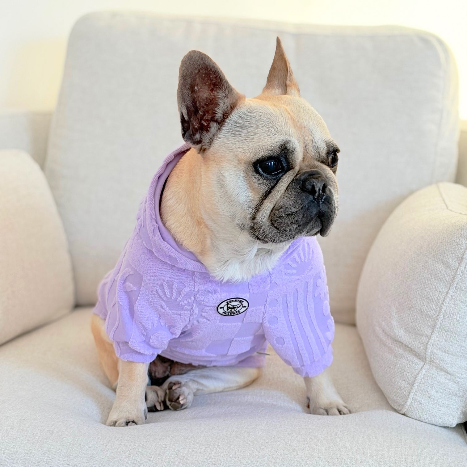 Lilac Tide After Bath/Beach - Jaquard Terry Towelling Dog Hoodie