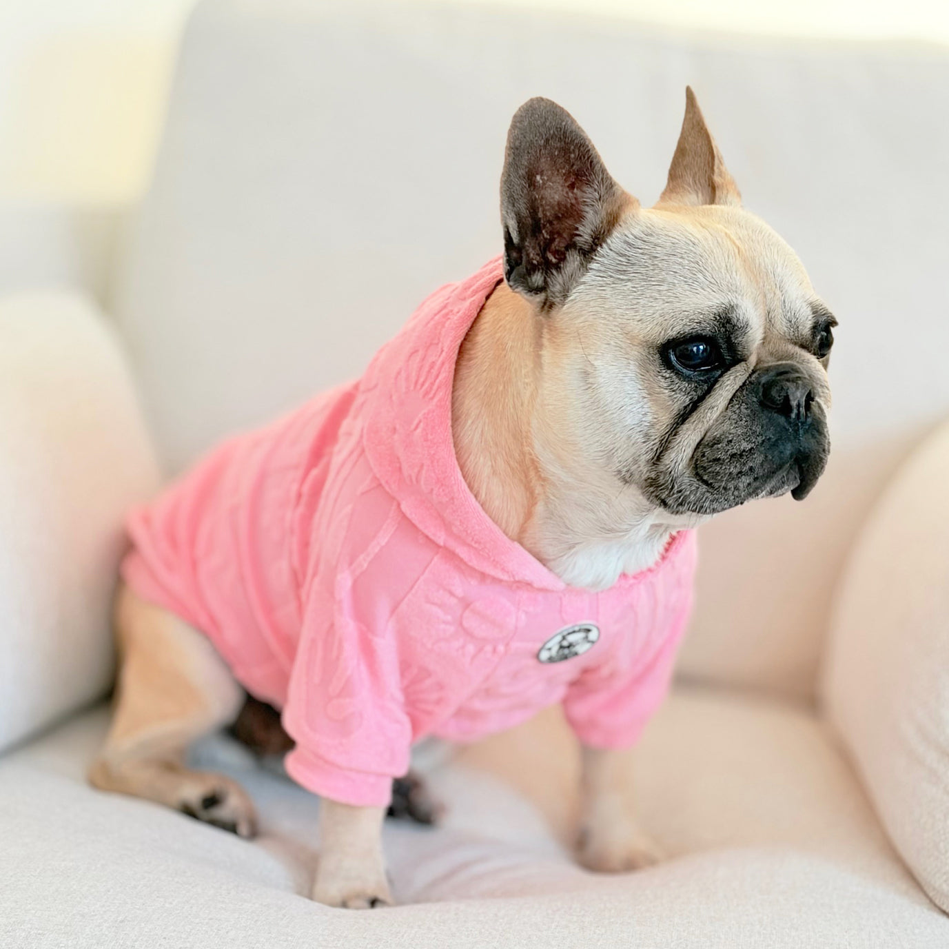 Bubblegum Breeze After Bath/Beach - Terry Towelling Dog Hoodie